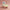 Aktionsbanner